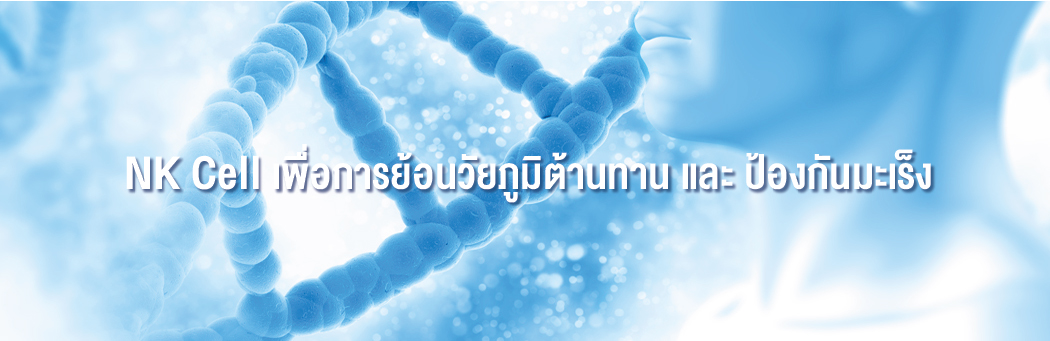 เซลล์เพชฌฆาต เพื่อการย้อนวัยภูมิต้านทาน