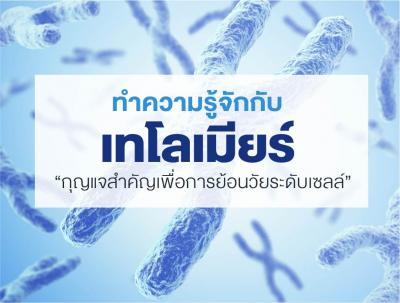 ทำความรู้จักกับ เทโลเมียร์ กุญแจสำคัญเพื่อการย้อนวัยระดับเซลล์